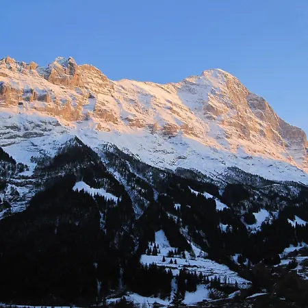 Hotel Bernerhof Grindelwald