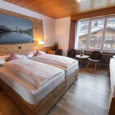 Hotel Bernerhof 3*