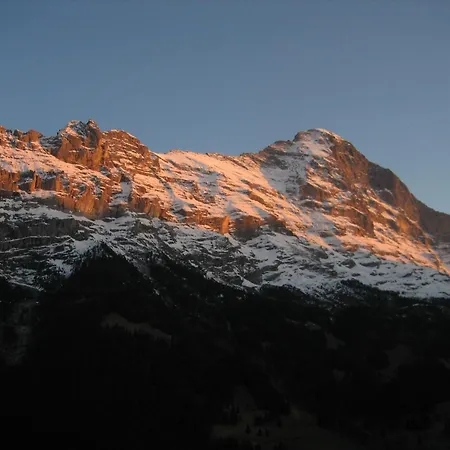 فندق بيرنرهوف غريندلوالد جريندلوالد