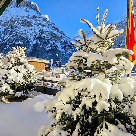 بيرنرهوف غريندلوالد فندق 3*