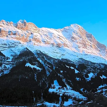 Bernerhof Grindelwald