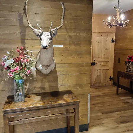 Bernerhof Otel 3*