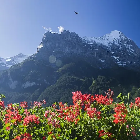 Bernerhof Hotel 3*