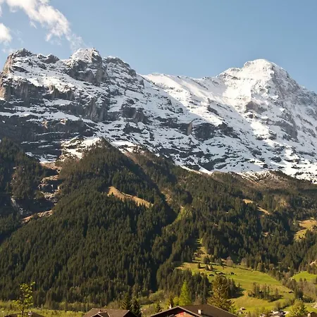 Hotel Bernerhof 3*