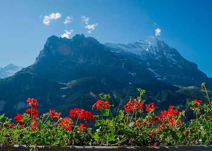 格林德瓦布纳霍夫酒店 酒店