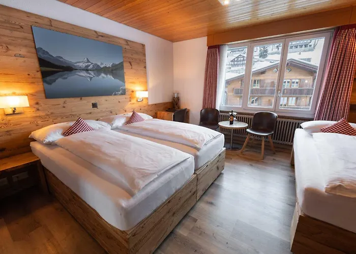 فندق بيرنرهوف غريندلوالد 3*