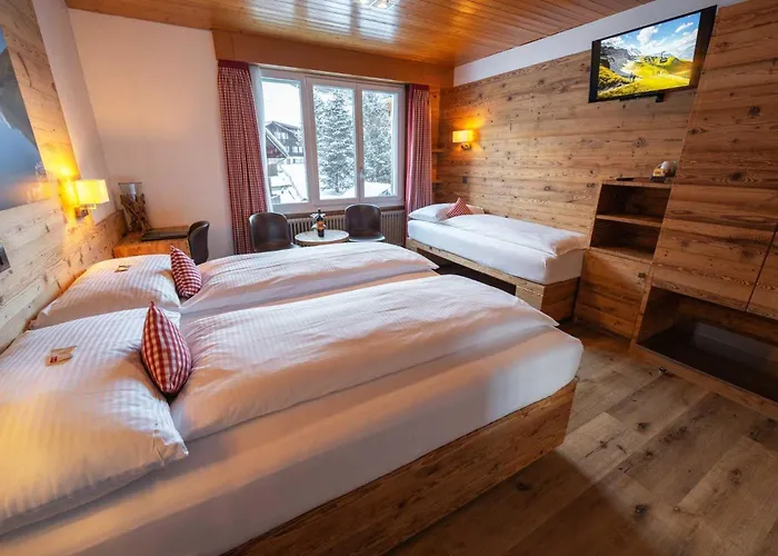 بيرنرهوف غريندلوالد فندق جريندلوالد