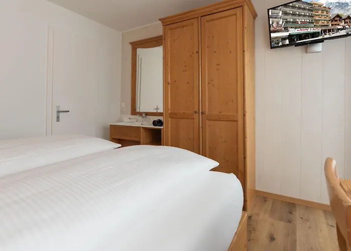 格林德瓦布纳霍夫酒店 酒店 3*