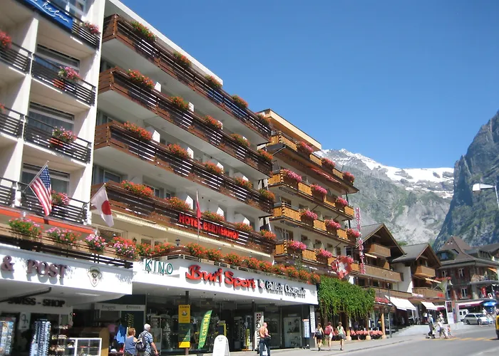 فندق بيرنرهوف غريندلوالد