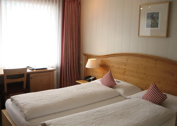 酒店 格林德瓦布纳霍夫酒店 3*