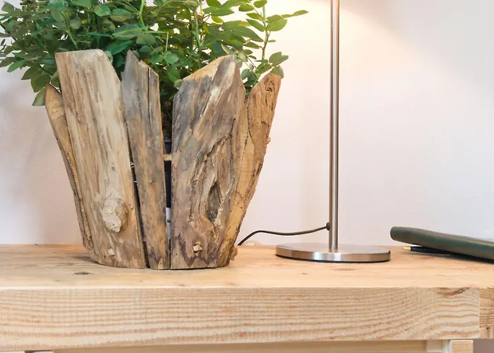 بيرنرهوف غريندلوالد فندق 3*