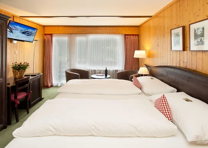 格林德瓦布纳霍夫酒店 酒店 3*