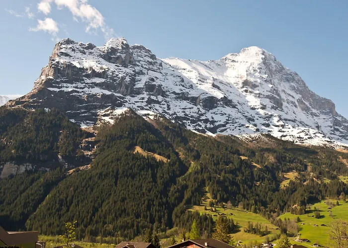 酒店 格林德瓦布纳霍夫酒店