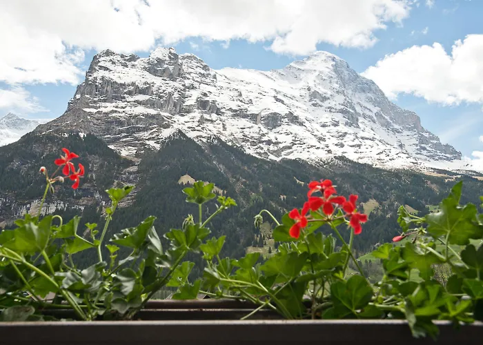 بيرنرهوف غريندلوالد 3*