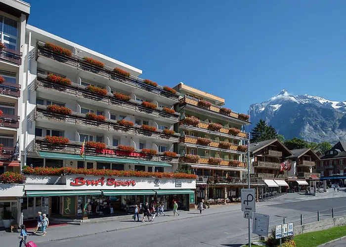 酒店 格林德瓦布纳霍夫酒店 3*