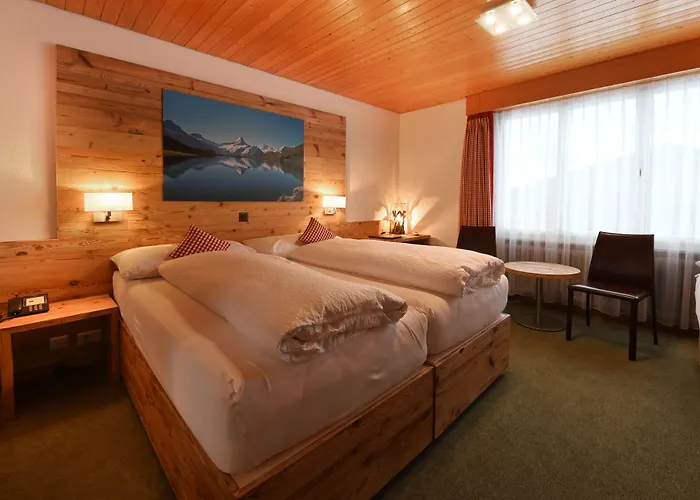 格林德瓦布纳霍夫酒店 3*