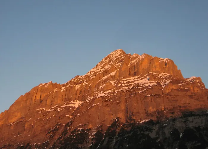 بيرنرهوف غريندلوالد