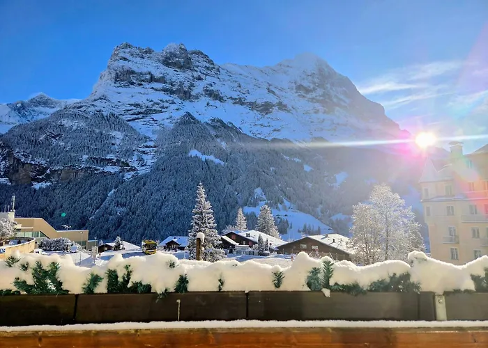 بيرنرهوف غريندلوالد 3*