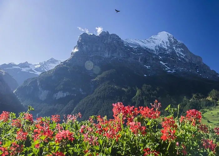 格林德瓦布纳霍夫酒店 酒店 3*