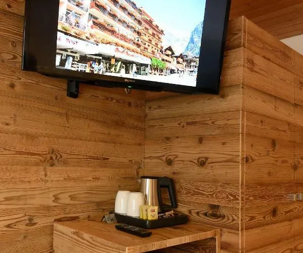 بيرنرهوف غريندلوالد 3*