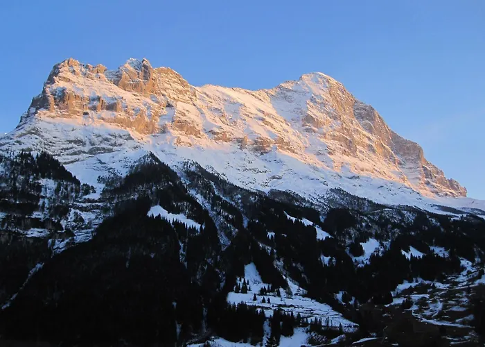 Hotel Bernerhof Grindelwald